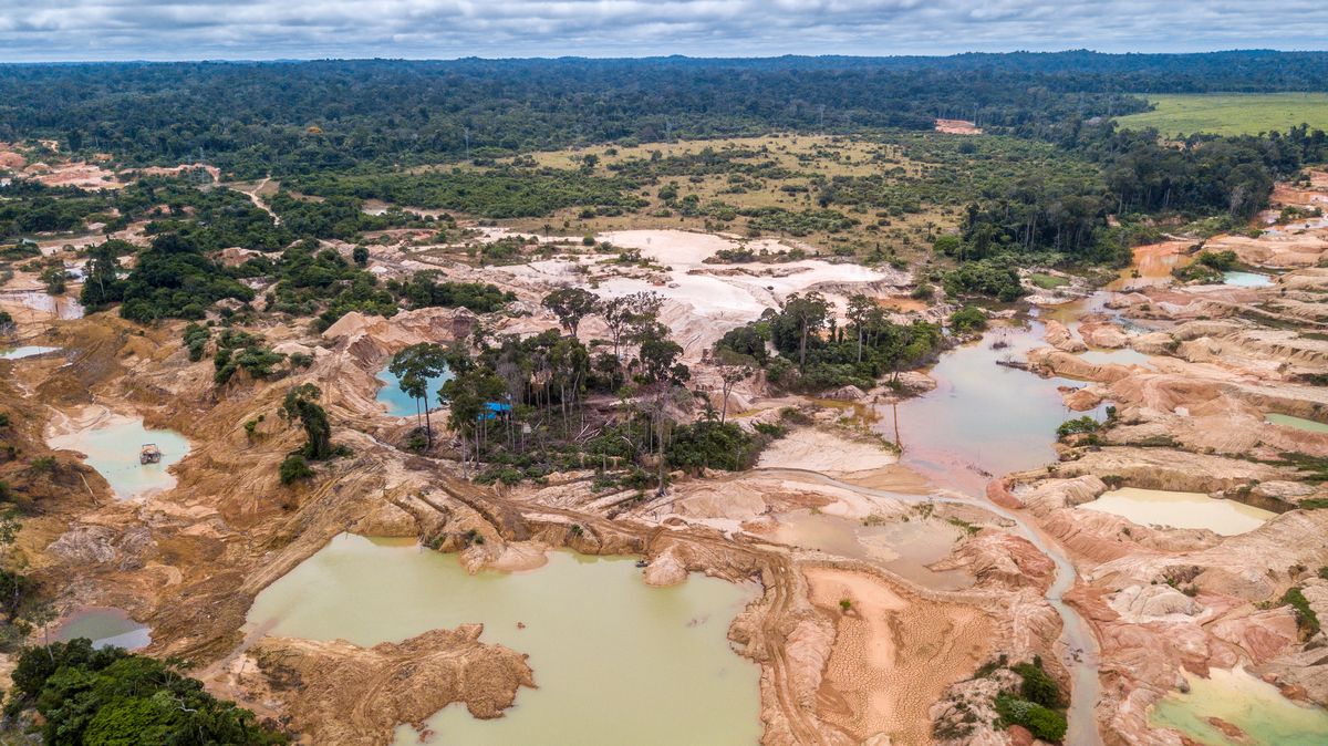 Odlesňování Amazonie se snížilo o třetinu, hlásí Brazílie